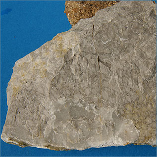 石灰岩(岡山)の写真